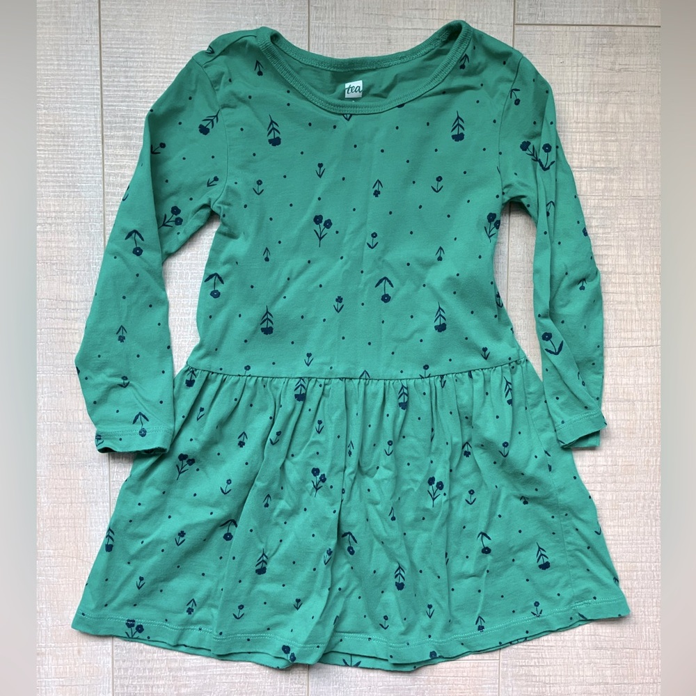 Tea Collection Long Sleeve Skirted Dress in Green Floral Folklore | Size 3